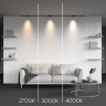 Светильник на шине Maytoni Technical TR193-1-5W4K-M-B