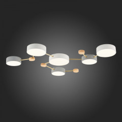 Накладной светильник Evoluce SLE600102-06