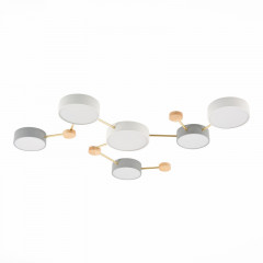 Накладной светильник Evoluce SLE600102-06