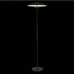 Торшер ST-Luce SL6502.405.01