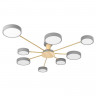 Накладной светильник LOFT IT 10316/8 Grey