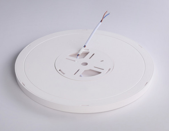 Накладной светильник Ambrella Light FZ1905