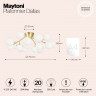Накладная люстра Maytoni MOD545CL-20BS