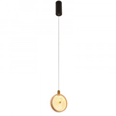 Подвесной светильник Favourite 4488-1P