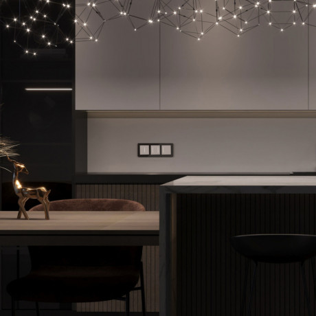 Выключатель Werkel W4522001