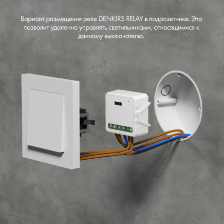 Wi-Fi реле Denkirs RL1003-DM