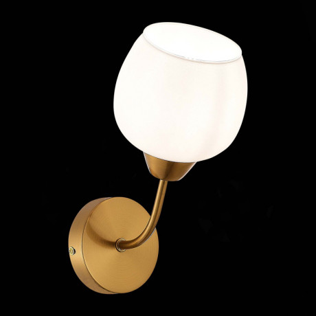 Бра Evoluce SLE1136-301-01