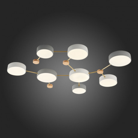 Накладной светильник Evoluce SLE600102-08