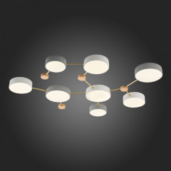 Накладной светильник Evoluce SLE600102-08