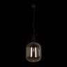 Подвесной светильник LOFT IT 10195/350 Amber