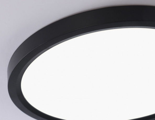 Накладной светильник Ambrella Light FZ1906