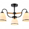 Накладной светильник Ambrella Light TR3033241