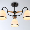 Накладной светильник Ambrella Light TR3033241