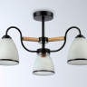 Накладной светильник Ambrella Light TR3033241
