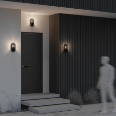 Светильник настенный Maytoni O449WL-01GF1