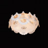 Накладная люстра Fluorite FL1152-5C