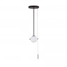 Накладной светильник LOFT IT 10029PS Black