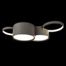 Накладной светильник LOFT IT 10317/4 Grey