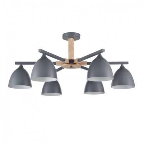 Люстра на штанге LUMION 8096/6C