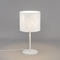 Настольная лампа Citilux CL469810