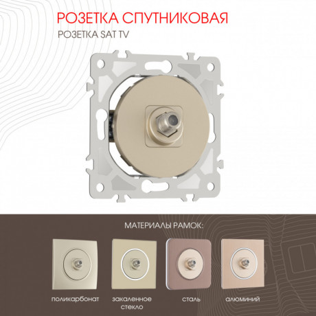 Розетка Arte Milano 202.42-1.shampan