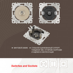 Розетка Arte Milano 202.42-1.shampan