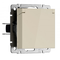 Розетка Werkel W1171203 N