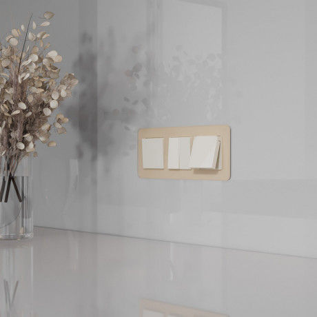 Розетка Werkel W1171203 N