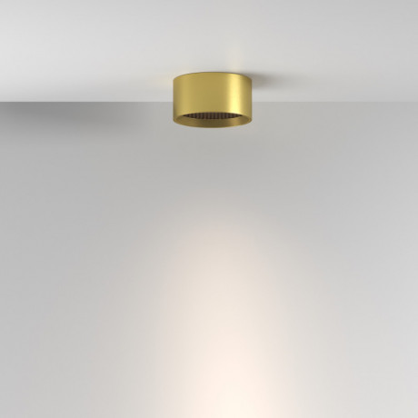 Влагозащищенный светильник Maytoni Technical C122CL-L7-3K-BS