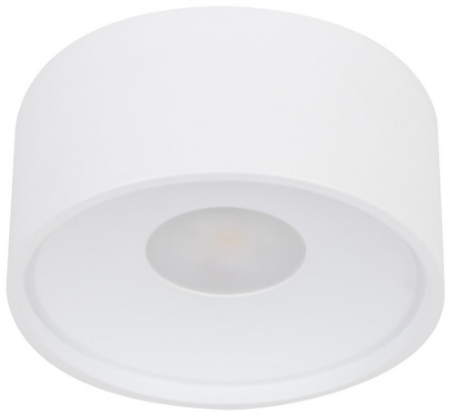 Влагозащищенный светильник WERTMARK WTA.O01.007.30.07