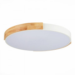 Накладной светильник Evoluce SLE201352-01