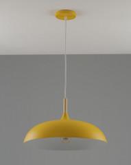 Потолочный детский светильник Moderli V11450-1P