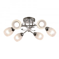 Накладная люстра ARTE Lamp A2004PL-6CC