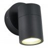 Светильник настенный ST-Luce SL9008.701.01