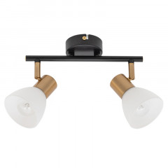 Спот ARTE Lamp A3117PL-2BK