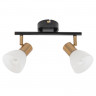 Спот ARTE Lamp A3117PL-2BK
