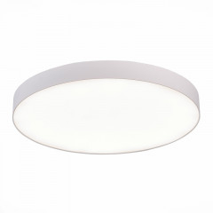 Накладной светильник ST-Luce ST606.542.96