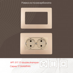 Розетка Arte Milano 217.40-2.shampan