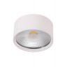 Накладной светильник Crystal Lux CLT 525C95 WH 4000K