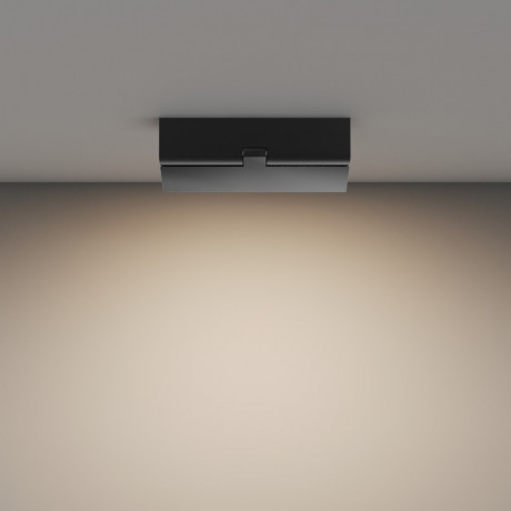 Накладной светильник Maytoni Technical C133CL-12W3K-B