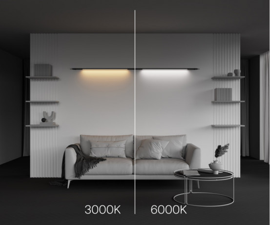 Светильник на шине Maytoni Technical C100CL-L1000-24W3-6K-B