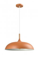 Потолочный детский светильник Moderli V11451-1P