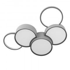 Накладной светильник LOFT IT 10317/5 Grey