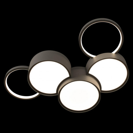 Накладной светильник LOFT IT 10317/5 Grey