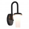 Светильник настенный ST-Luce SL9539.701.01