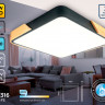 Накладной светильник Ambrella Light FZ1316