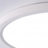 Накладной светильник Ambrella Light FZ1909
