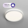 Накладной светильник Denkirs DK6511-WH/1