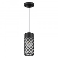 Подвесной уличный светильник Odeon Light 4834/1