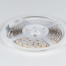 Лента DesignLed DSG2140-24-SFD-33